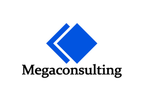 Megaconsulting